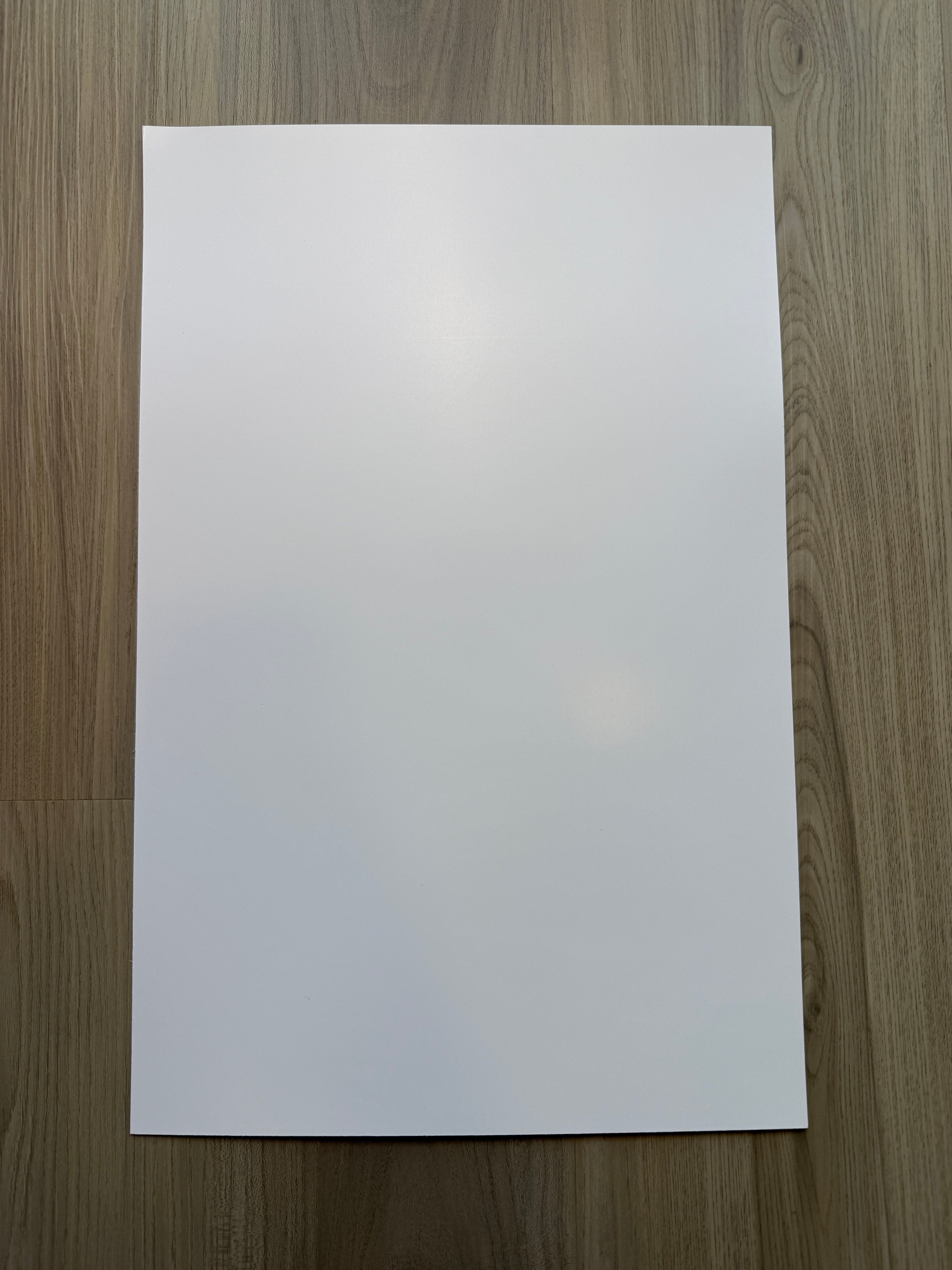 Wicked: For Good Limited Edition Premiere Screening Poster (17" x 10.75")