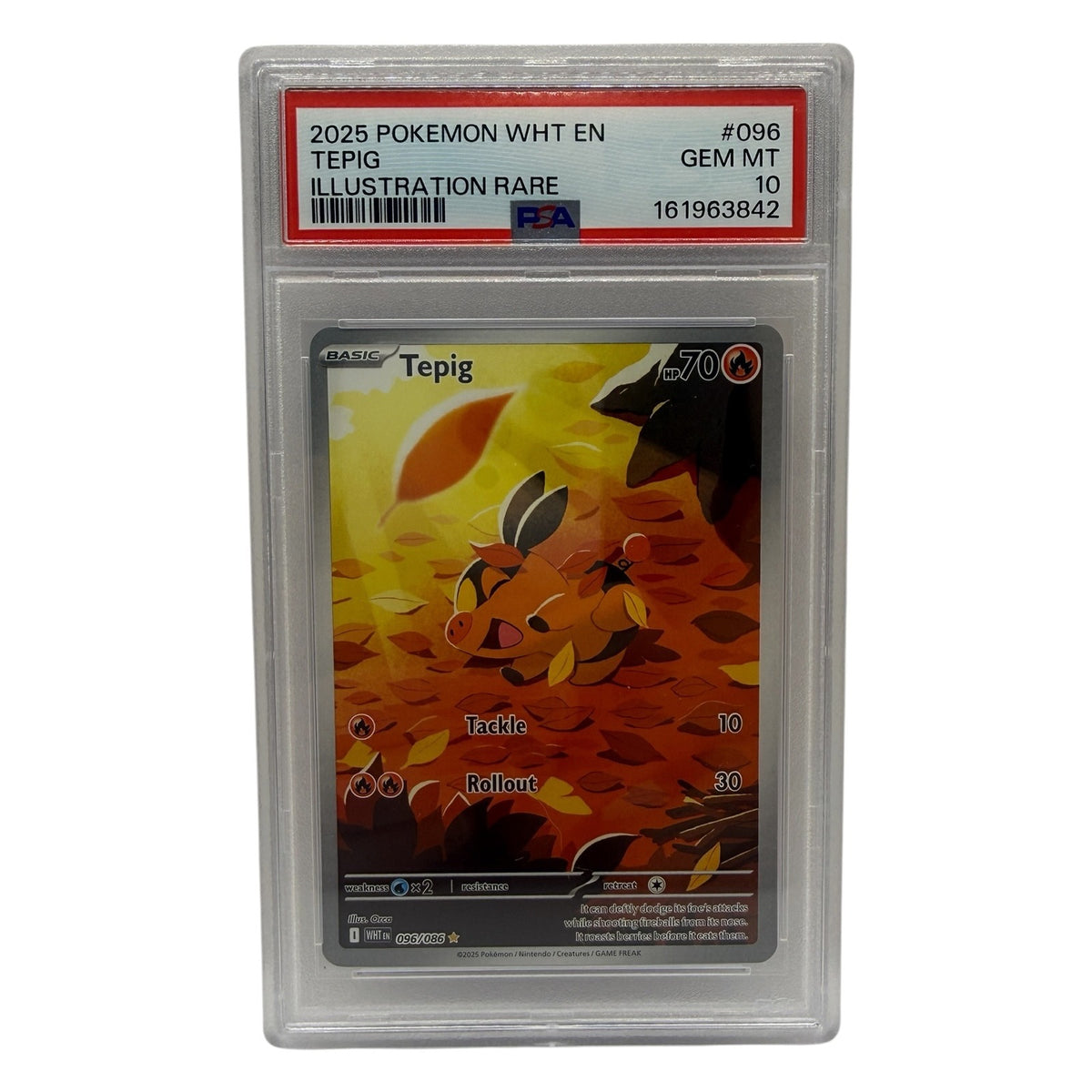 2025 Pokémon White Flare Tepig Illustration Rare #096 PSA 10 GEM MINT — photo 1