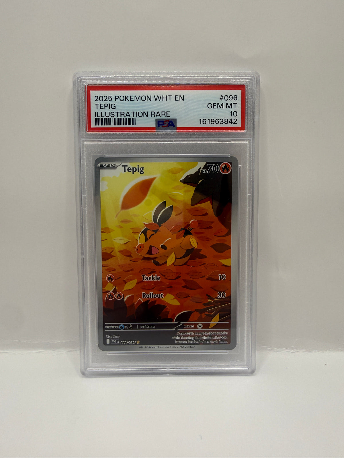 2025 Pokémon White Flare Tepig Illustration Rare #096 PSA 10 GEM MINT