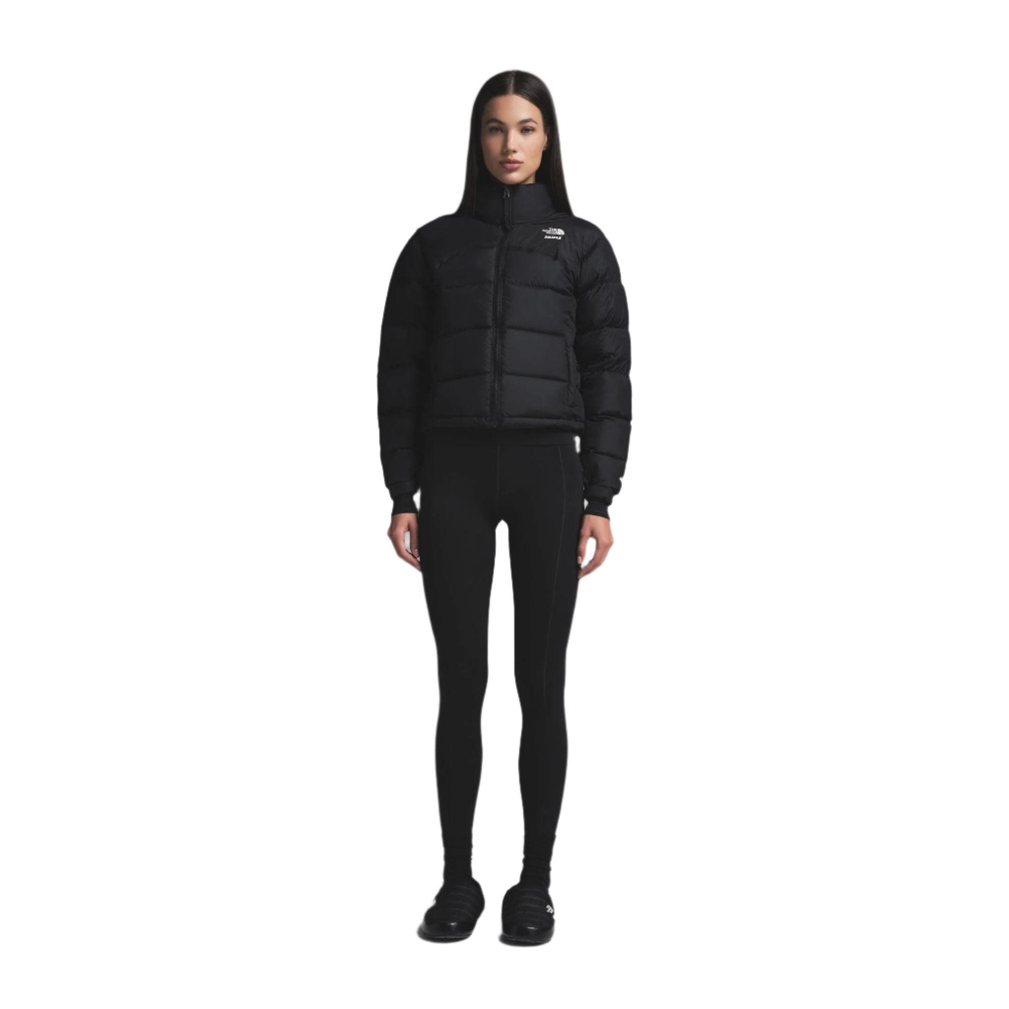 Skims x The North Face 2000 Retro Nuptse Jacket Onyx (Women's)