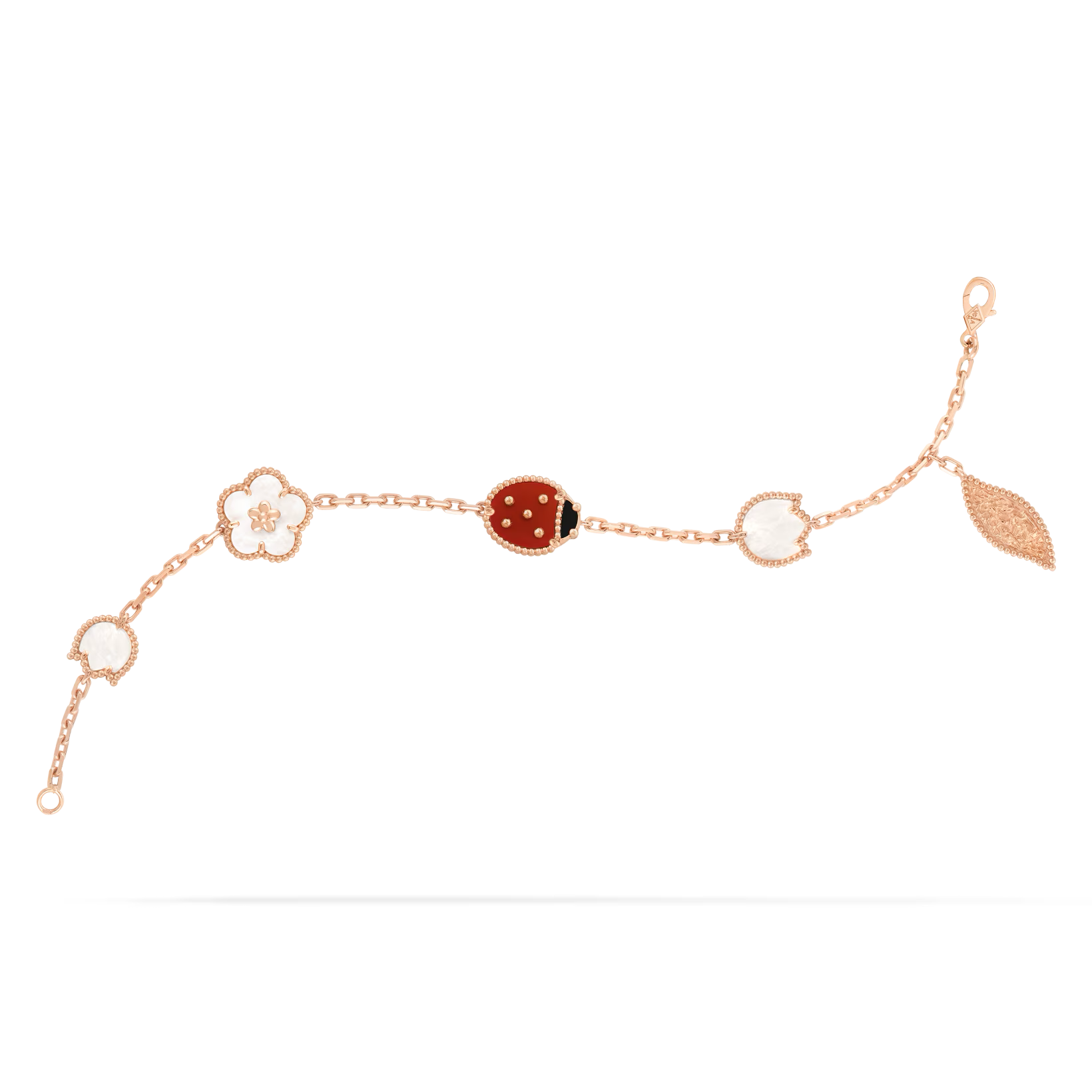 GUrrNuKo7EmhXdFmupe6rA_png_transform_vca-w820-2x_png.png