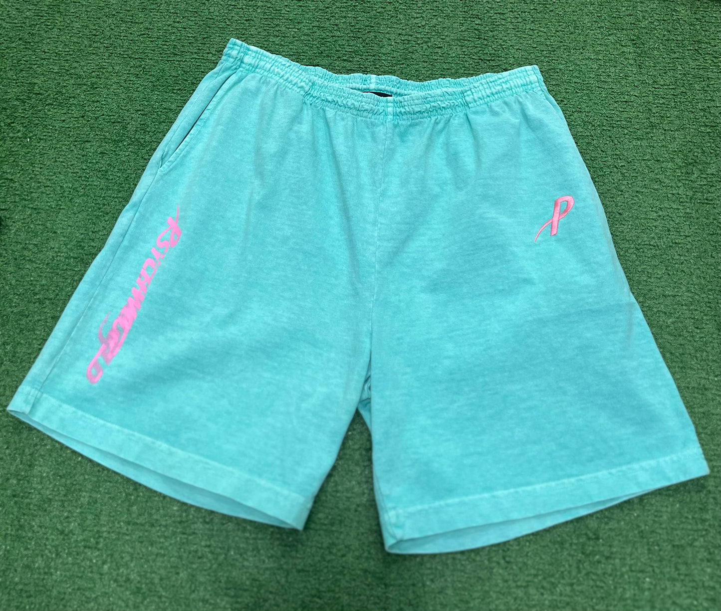 Psychworld Teal Canvas Shorts Pink Logo, Shorts - Supra Sneakers