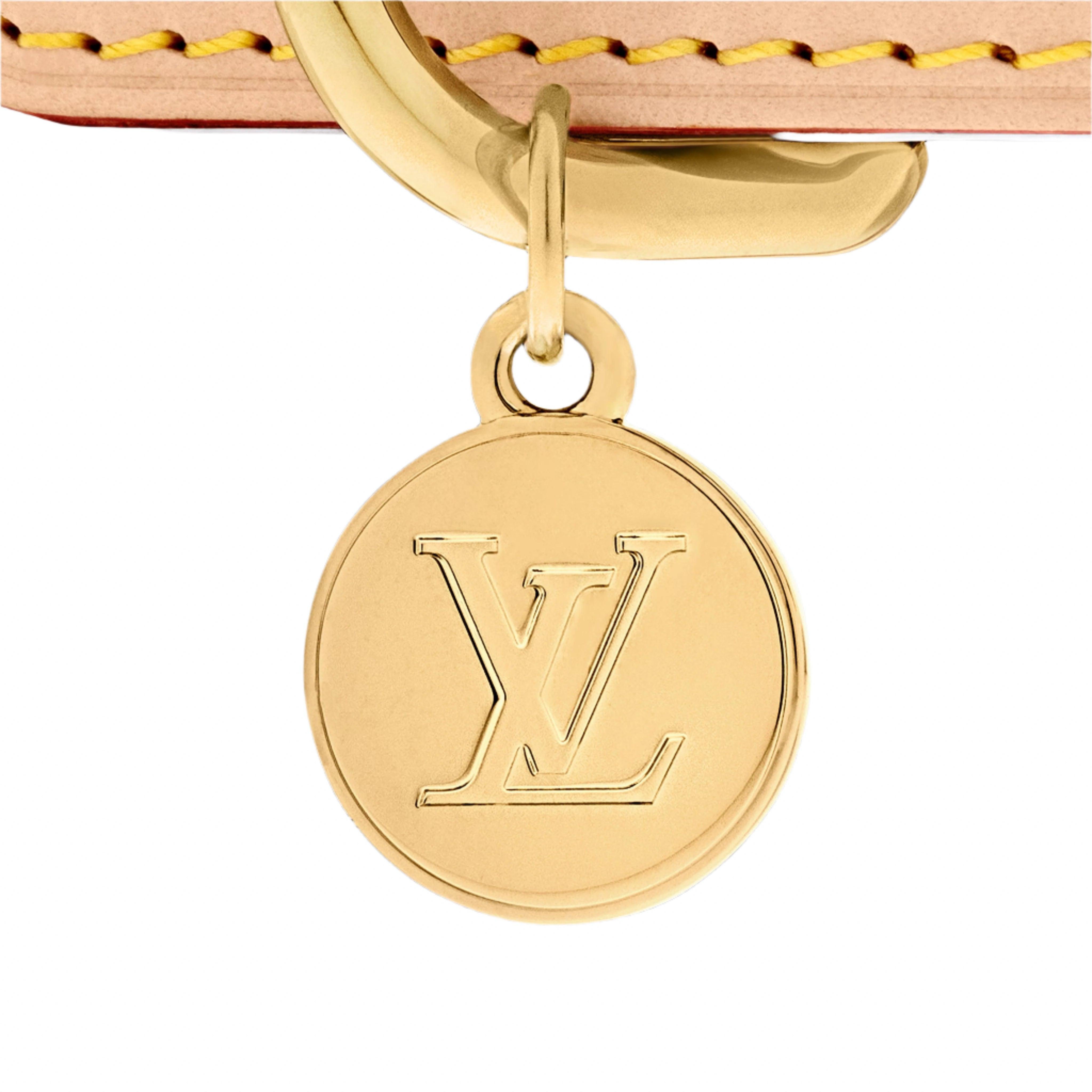 Louis Vuitton x Takashi Murakami Monogram Multicolor Dog Collar MM White Multicolored