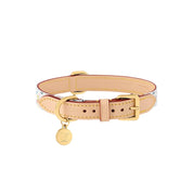 Louis Vuitton x Takashi Murakami Monogram Multicolor Dog Collar MM White Multicolored