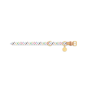 Louis Vuitton x Takashi Murakami Monogram Multicolor Dog Collar XS White Multicolored