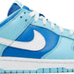 Nike Dunk Low Argon - Supra Sneakers